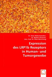 Expression des LRP1b Rezeptors in Human- und Tumorgewebe