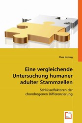 Eine vergleichende Untersuchung humaner adulter Stammzellen