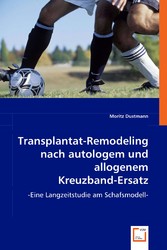 Transplantat-Remodeling nach autologem und allogenem  Kreuzband-Ersatz