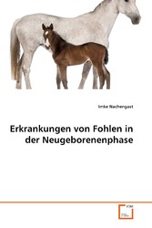 Erkrankungen von Fohlen in der Neugeborenenphase