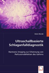 Ultraschallbasierte Schlaganfalldiagnostik