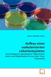 Aufbau eines  vaskularisierten Lebertestsystems