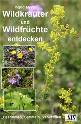 Wildkräuter und Wildfrüchte entdecken