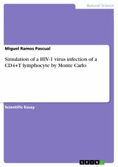 Simulation of a HIV-1 virus infection of a CD4+T lymphocyte by Monte Carlo