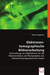 Elektronen-tomographische Bildverarbeitung