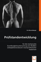 Prüfstandentwicklung