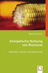 Energetische Nutzung von Biomasse