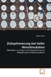 Zieloptimierung bei tiefer Hirnstimulation