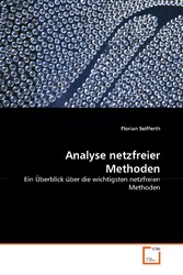 Analyse netzfreier Methoden