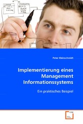 Implementierung eines Management Informationssystems