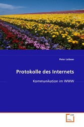 Protokolle des Internets