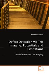 Defect Detection via THz Imaging: Potentials andLimitations