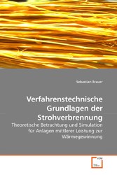 Verfahrenstechnische Grundlagen der Strohverbrennung