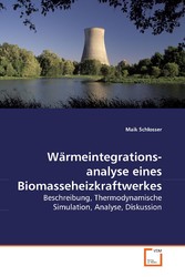 Wärmeintegrationsanalyse eines Biomasseheizkraftwerkes