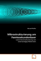 Mikrostrukturierung am Femtosekundenlaser