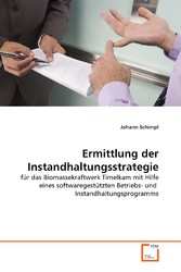 Ermittlung der Instandhaltungsstrategie