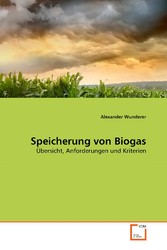 Speicherung von Biogas