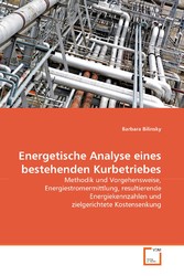 Energetische Analyse eines bestehenden Kurbetriebes