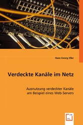 Verdeckte Kanäle im Netz