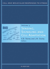 Sensing, Signaling and Cell Adaptation