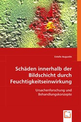 Schäden innerhalb der Bildschicht durch Feuchtigkeitseinwirkung