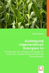 Auslegung regenerativer Energien in Schwellenländern