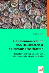 Gaumeninnervation von Hauskatzen& Spitzmausbeutelratten