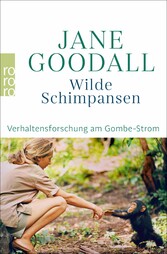 Wilde Schimpansen