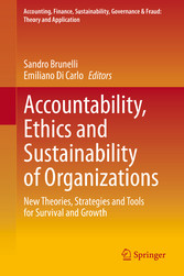 Accountability, Ethics and Sustainability of Organizations