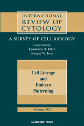 Cell Lineage and Embryo Patterning