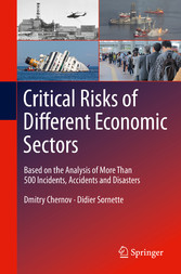 Critical  Risks of Different Economic Sectors