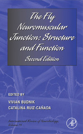 The Fly Neuromuscular Junction:  Structure and Function