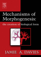 Mechanisms of Morphogenesis