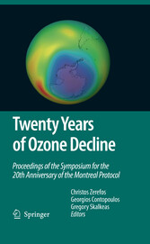 Twenty Years of Ozone Decline