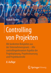 Controlling von Projekten