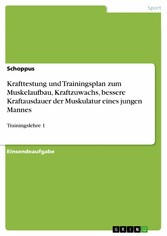 Krafttestung und Trainingsplan zum Muskelaufbau, Kraftzuwachs, bessere Kraftausdauer der Muskulatur eines jungen Mannes