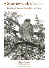 A Sparrowhawk's Lament