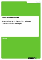 Anwendung von Gashydraten in der Lebensmitteltechnologie