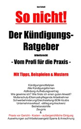 So nicht! Der Kündigungs-Ratgeber Arbeitsrecht