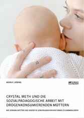 Crystal Meth und die sozialpädagogische Arbeit mit drogenkonsumierenden Müttern. Wie können Mütter und Kinder in gemeinsamen Wohnformen zusammenleben?