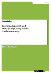 Leistungsdiagnostik und Mesozyklusplanung für das Ausdauertraining