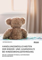 Handlungsmöglichkeiten der Kinder- und Jugendhilfe bei Kindeswohlgefährdung. Wie das Jugendamt potenzielle Gefährdungen richtig einschätzt