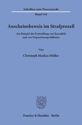 Anscheinsbeweis im Strafprozeß