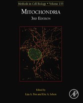 Mitochondria Biology