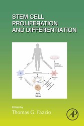 Stem Cell Proliferation and Differentiation