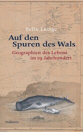 Auf den Spuren des Wals