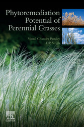 Phytoremediation Potential of Perennial Grasses