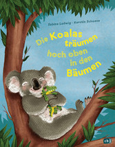 Die Koalas träumen hoch oben in den Bäumen