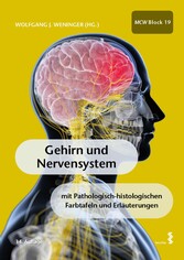 Gehirn und Nervensystem