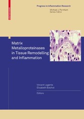 Matrix Metalloproteinases in Tissue Remodelling and Inflammation